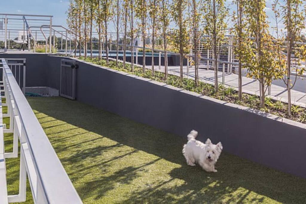 Modern, Chic, Great Location Apartment Washington Exterior photo